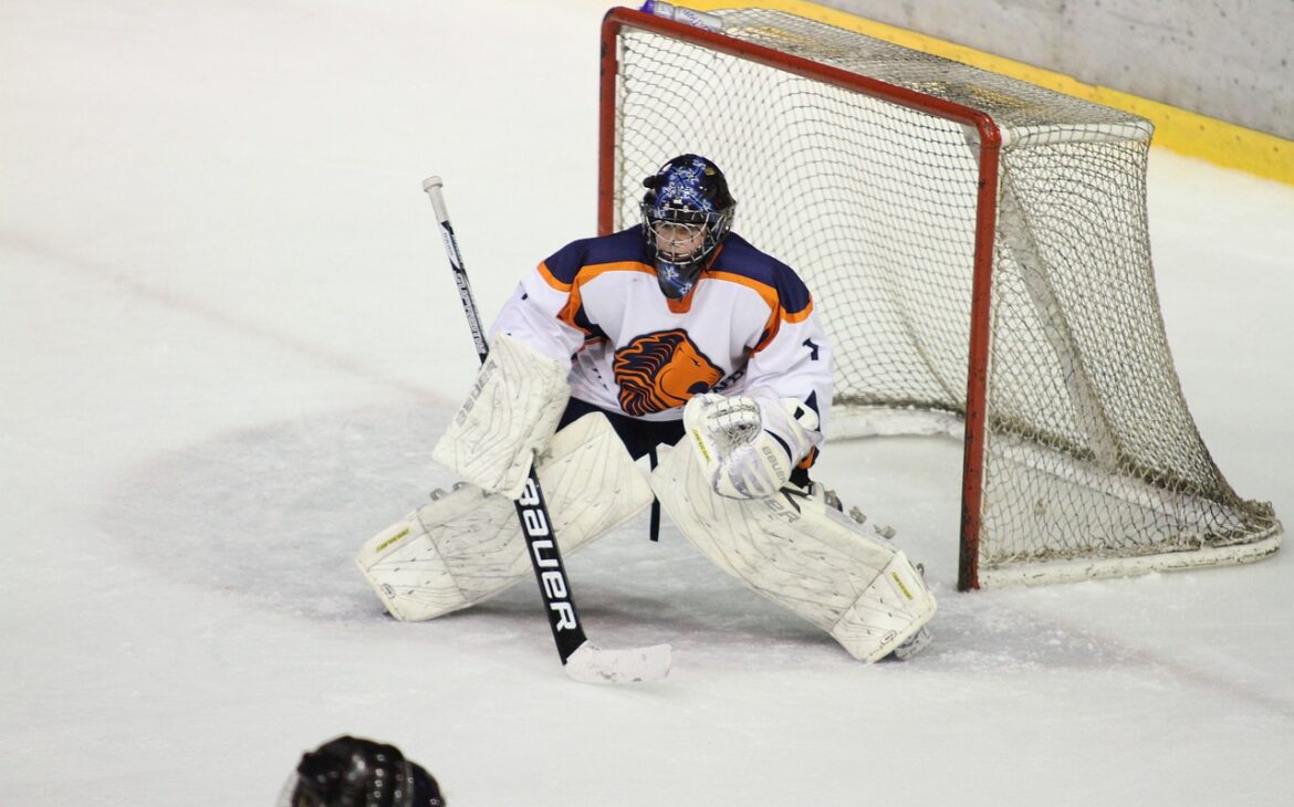 The Most Pervasive Problems in Official hockey net