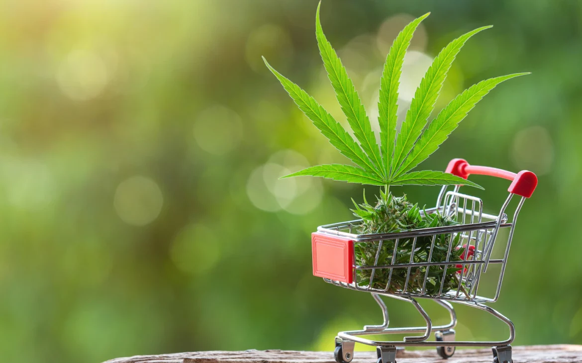 <strong>Check How You Can Find The Best Online Cannabis Delivery Platform</strong>